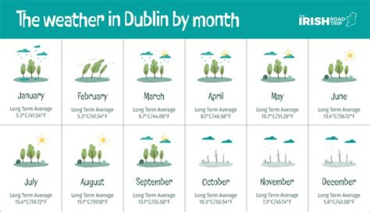 What months are spiders most active?