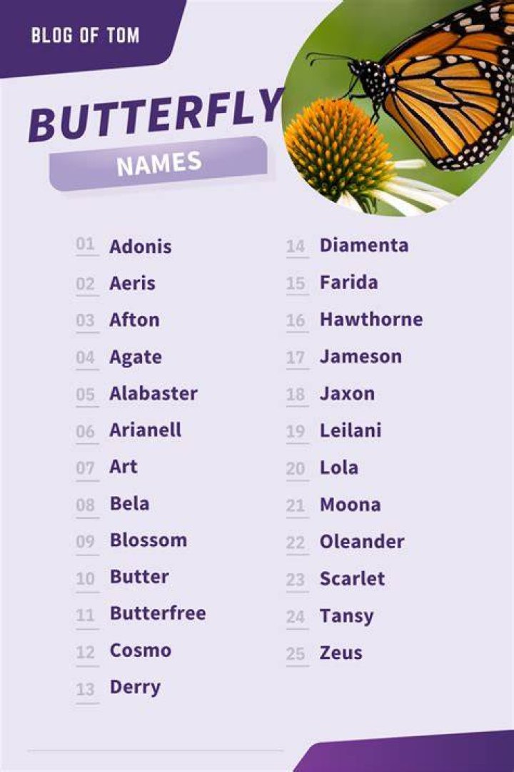 What name means blueberry?