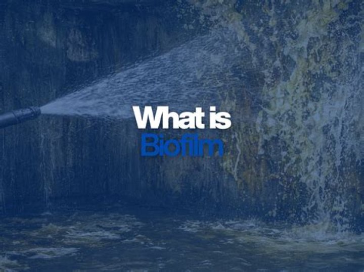 What naturally kills biofilm?