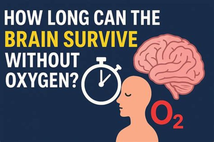 What organ can survive the longest without oxygen?
