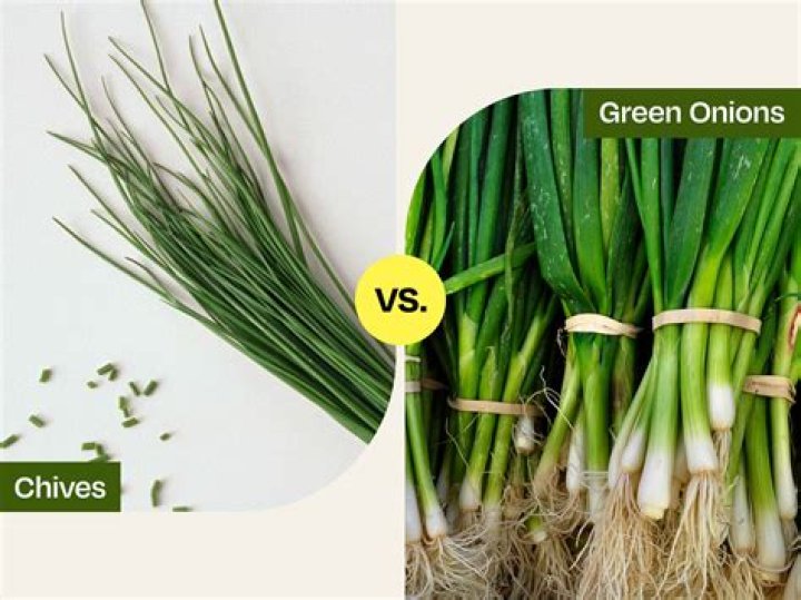 What part of the chives do you use?