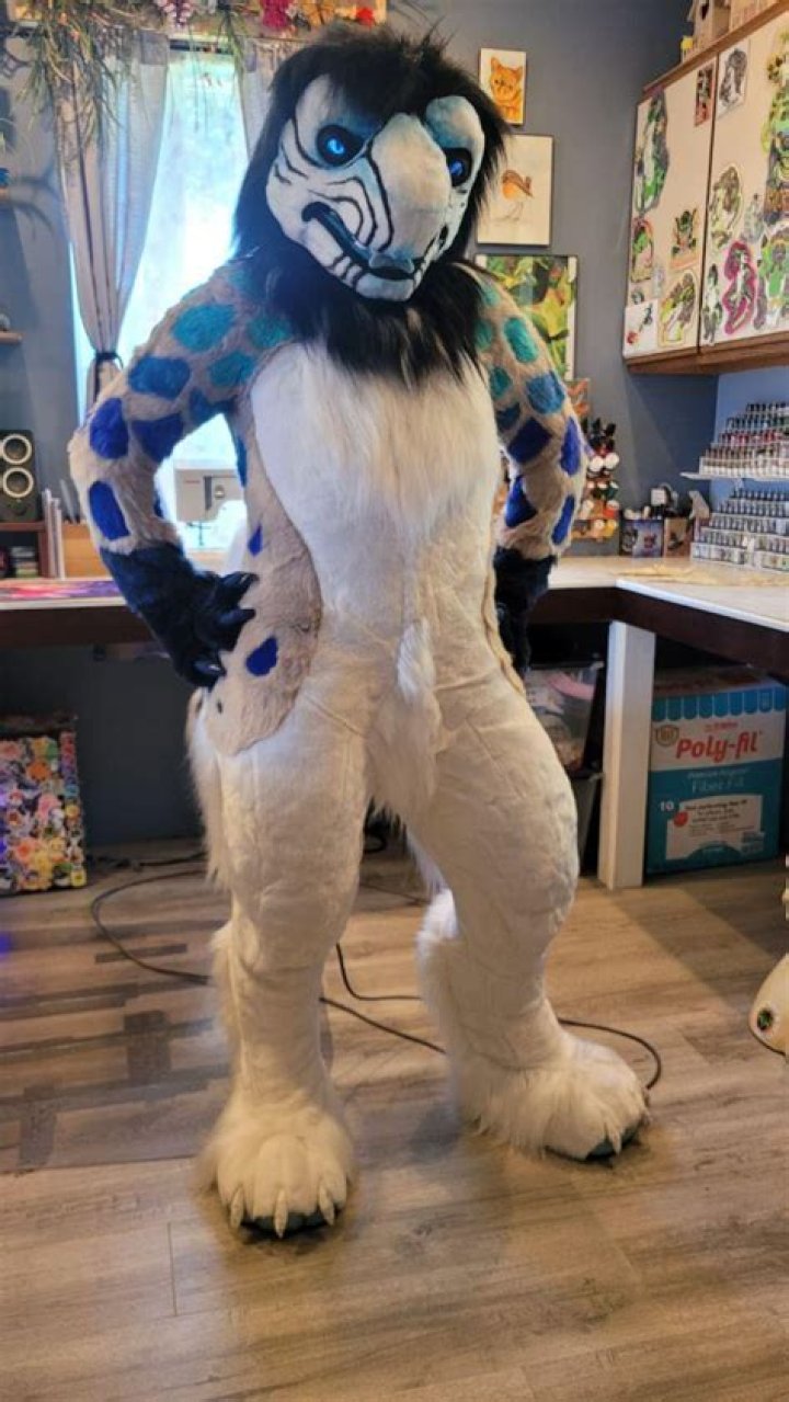 What percentage of furries have a fursuit?