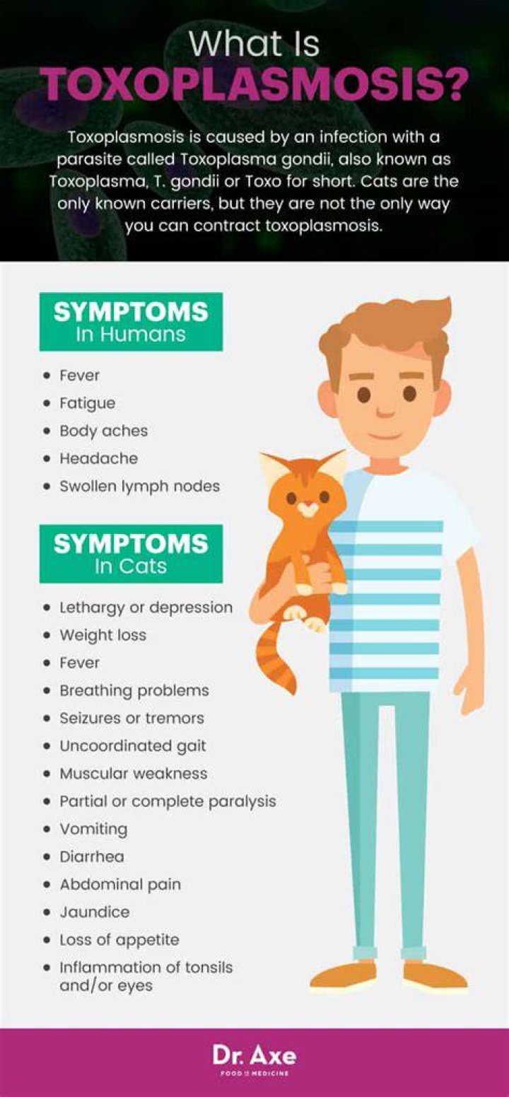 What percentage of humans have toxoplasmosis?