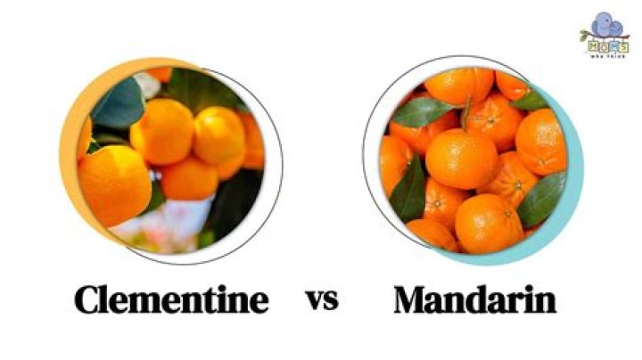 What scent is mandarin?