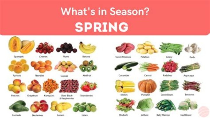 What season is in France now?
