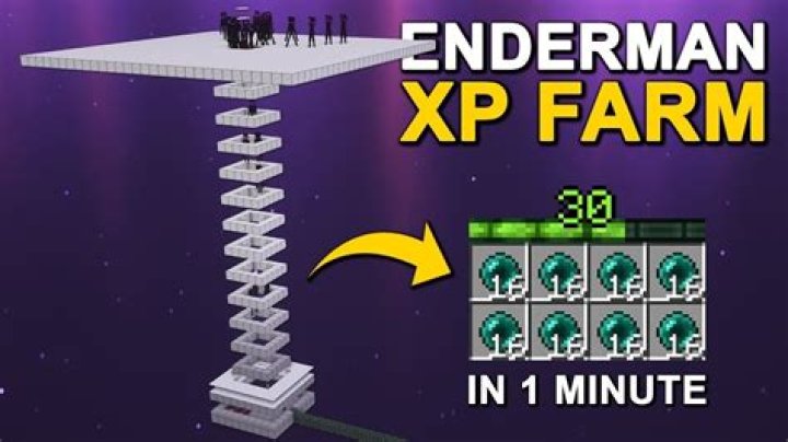 What should I name my Enderman?