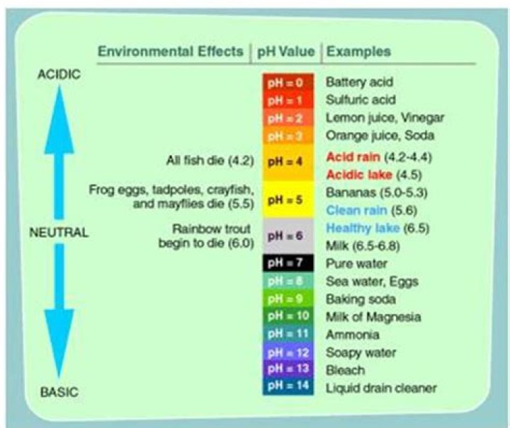 What should pool pH be?