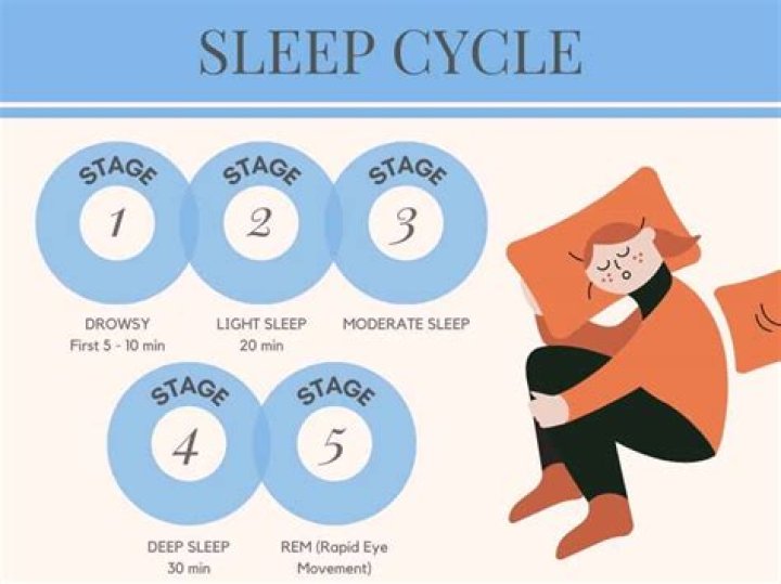 What stage of sleep is dreaming?
