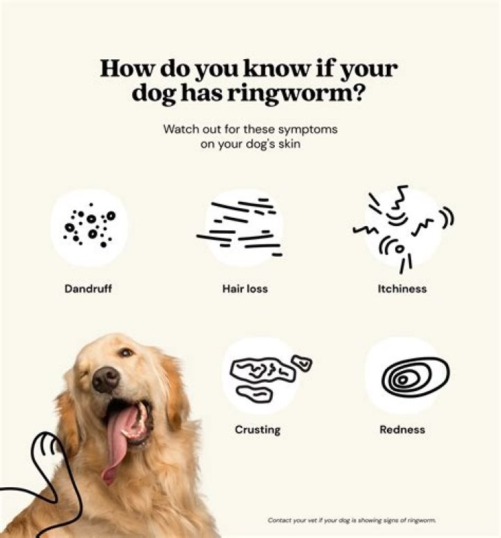 What symptoms do dogs have from coronavirus?