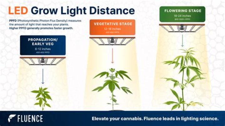What temperature should my grow room be when lights are off?