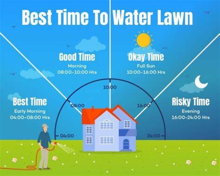 What time of day is best for watering?