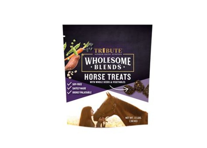 What times should horses be fed?