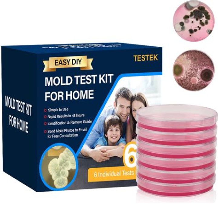 What to do if you think you have mold in your house?