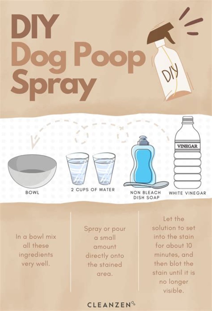 What to spray after dog poops in house?
