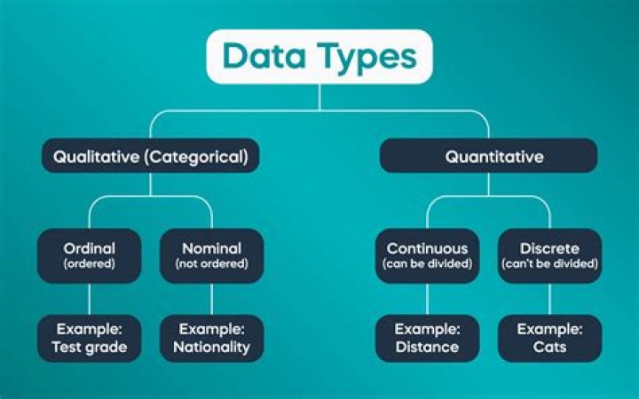 What type of data is quantitative?