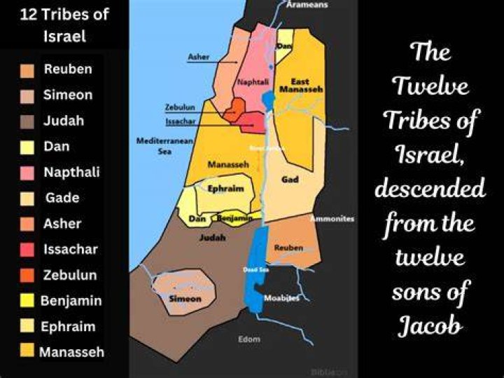 What type of tribe is Moana?