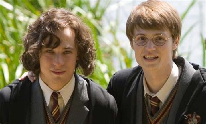 What was James Potter favorite Quidditch team?