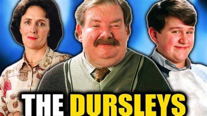 What was the Dursleys greatest family secret?