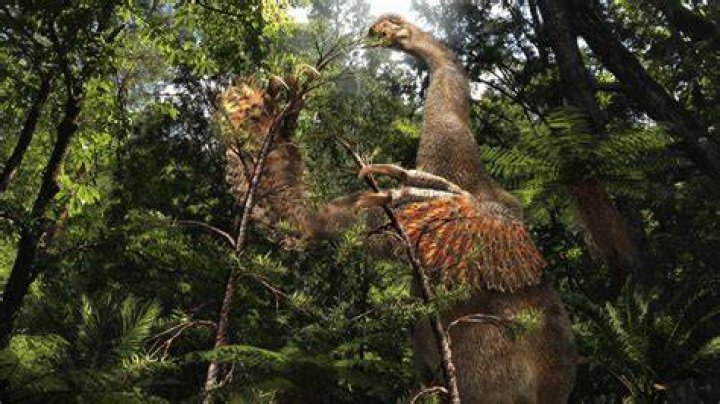 What would be the last species on Earth?
