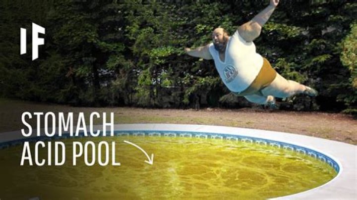 What would happen if you jumped in a pool of stomach acid?