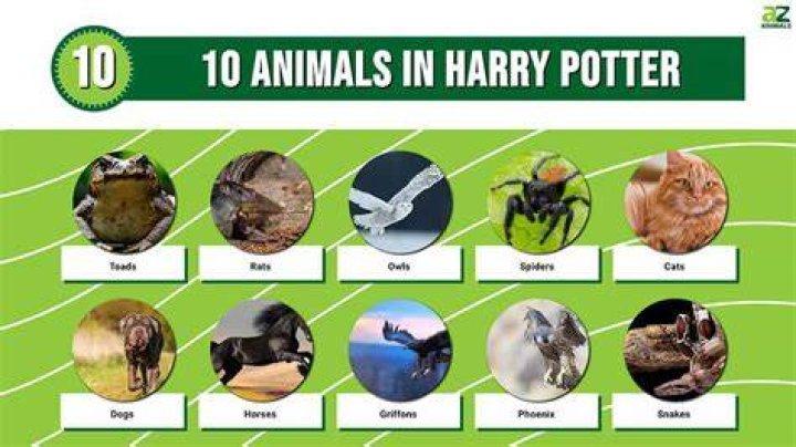 What would Harry be as an Animagus?