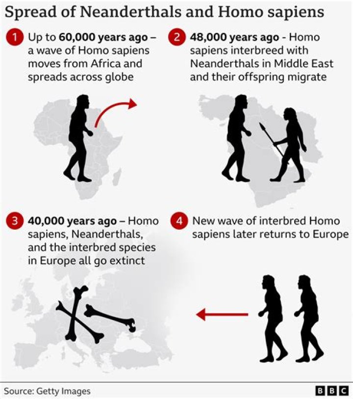 When did humans arrive in England?