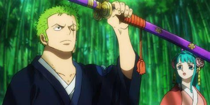 When did Zoro cut his ankles?