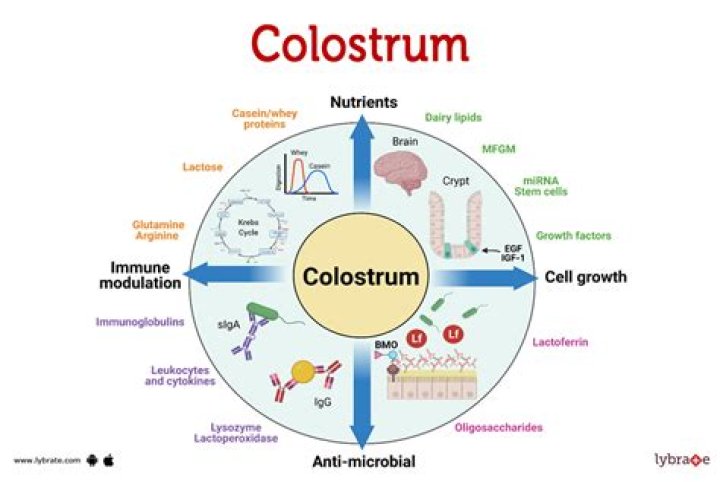 When should you start leaking colostrum?