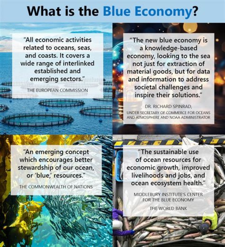 When was the blue economy created?