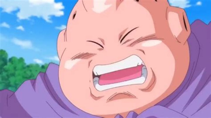Where did fat Buu come from?