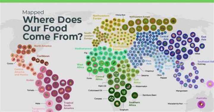 Where does Ø come from?