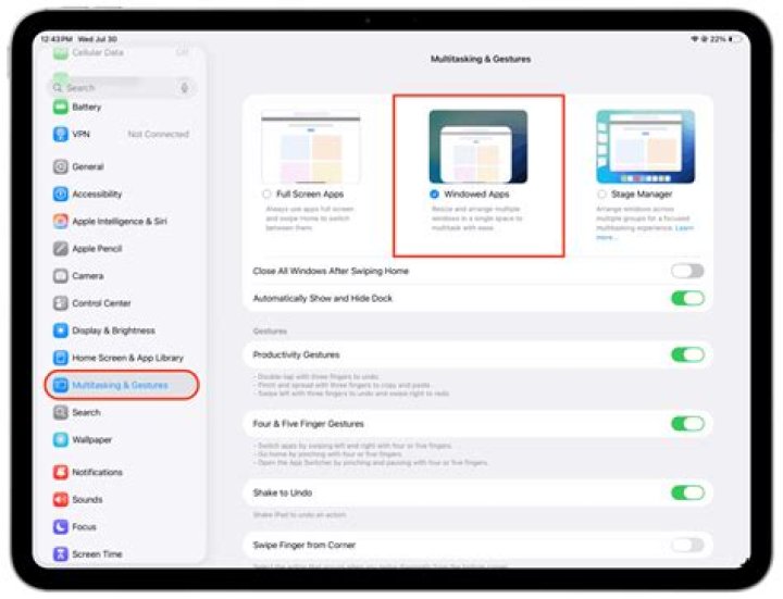 Where is control menu on iPad?