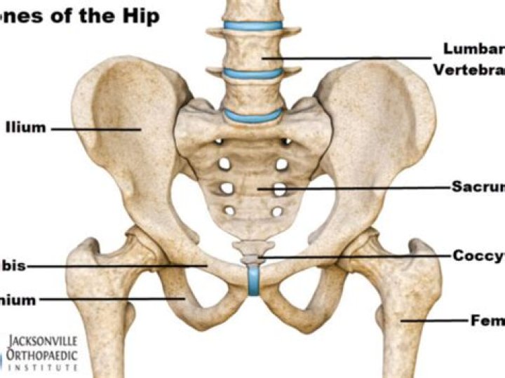 Where is hip pain usually located?