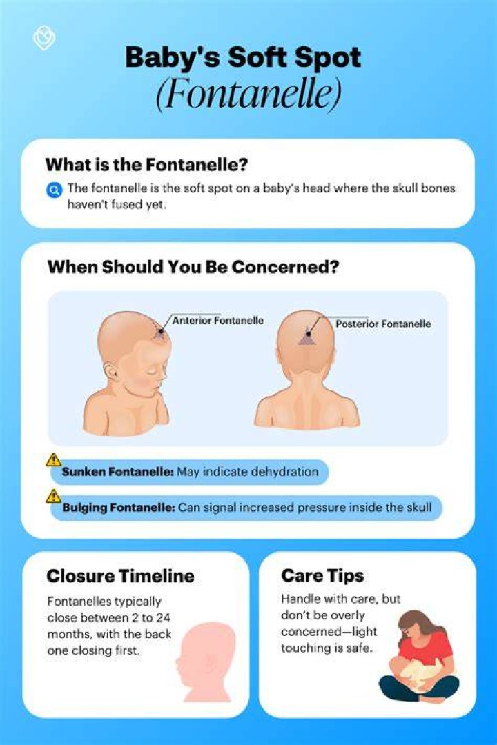 Where is the fontanelle in adults?