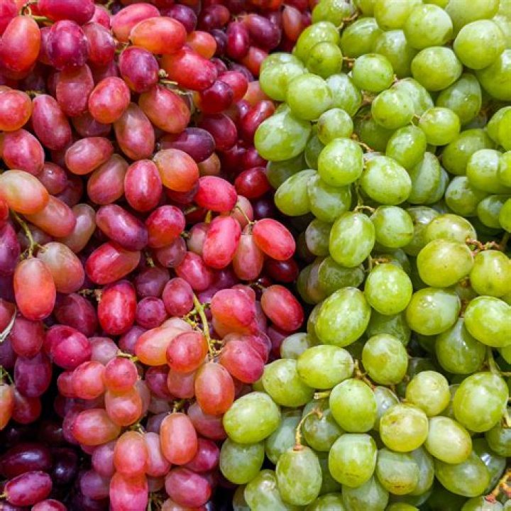 Where should I store grapes?