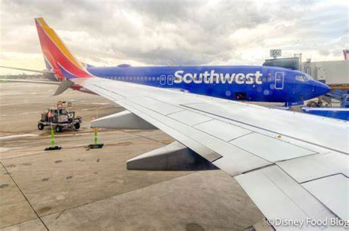 Which airline owns the most planes?