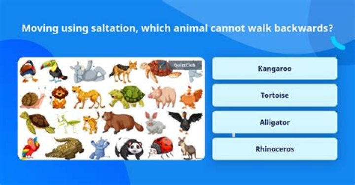 Which animal Cannot walk backwards?