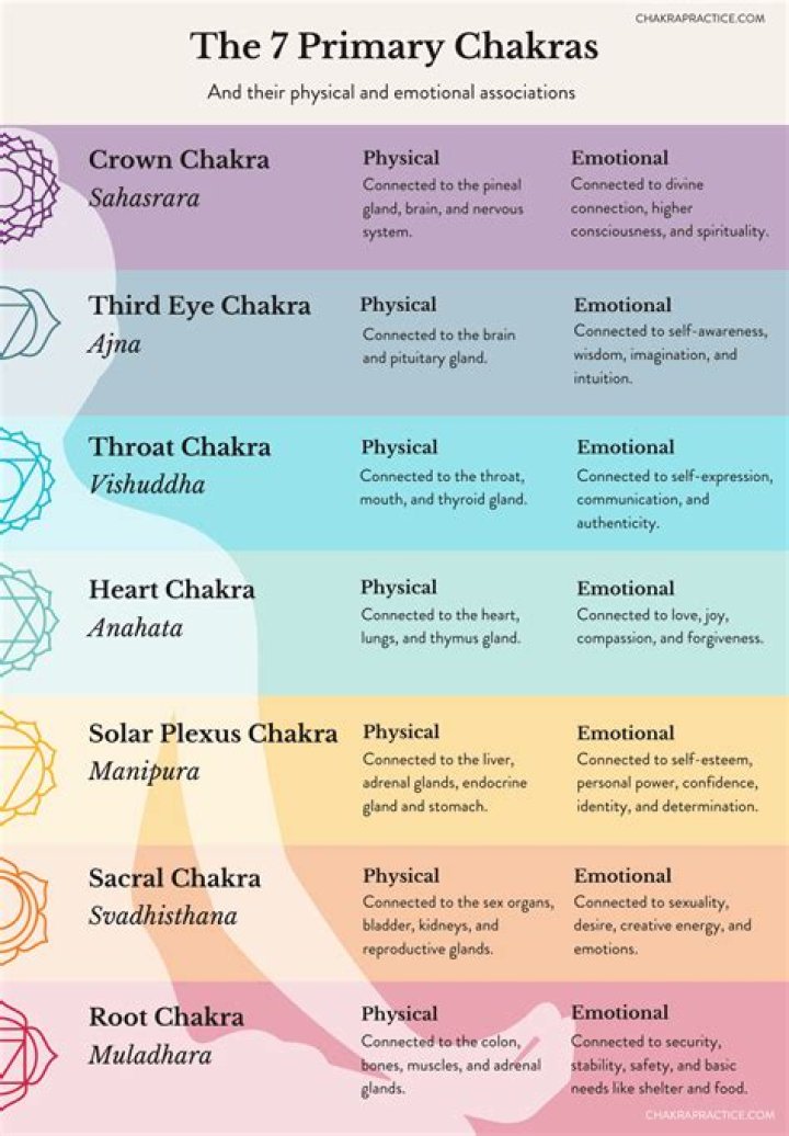 Which chakra is related to marriage?