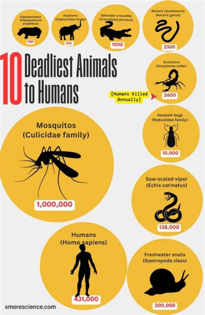 Which country has the most deadliest animals?