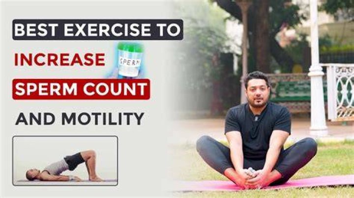 Which exercise increases sperm?