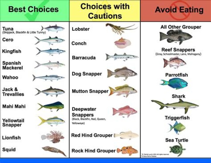 Which fish Cannot be eaten?