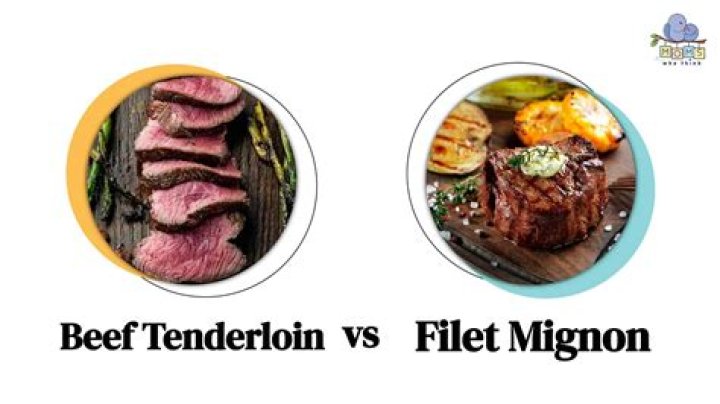 Which is better filet mignon or ribeye?