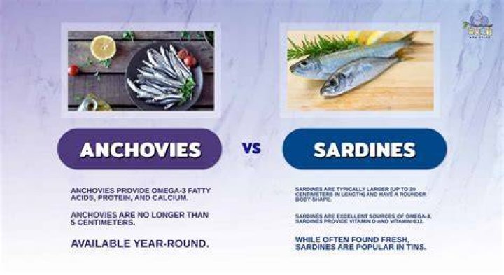 Which is better for you sardines or herring?