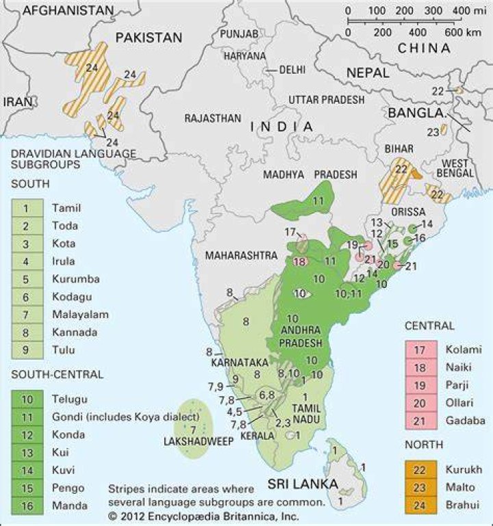 Which is the youngest language in India?
