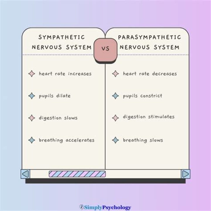 Which medicine is best for nervous system?
