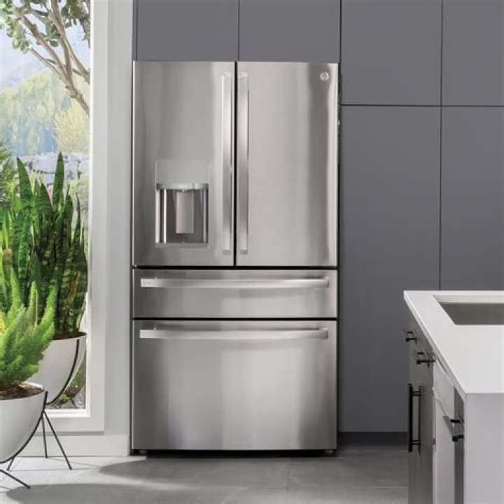 Which model is best in fridge?