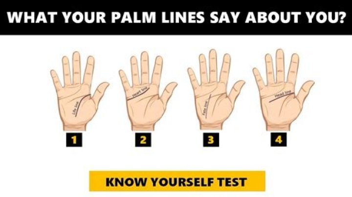 Which palm line means child?