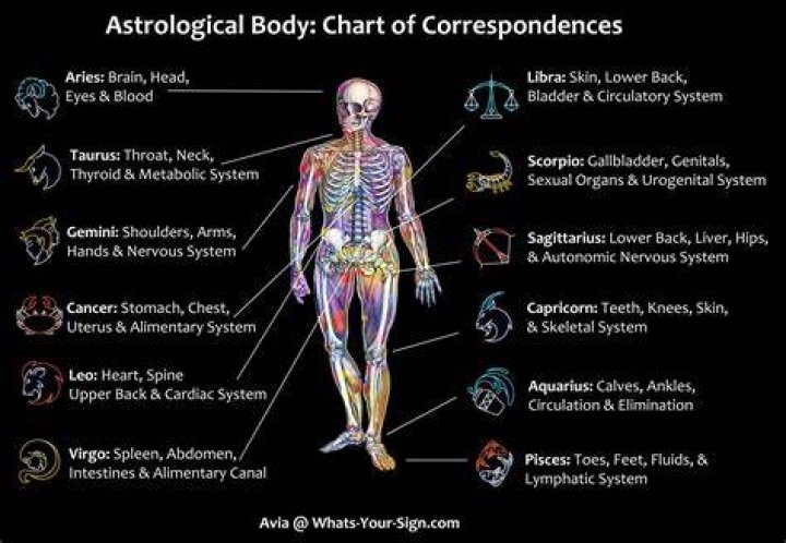 Which part of your body ages the most rapidly?