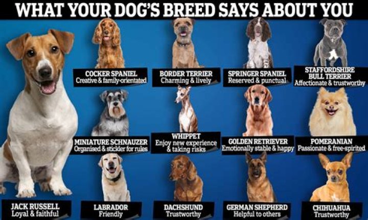 Which puppy breeds bite the most?