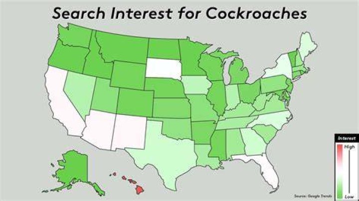 Which state has the least roaches?